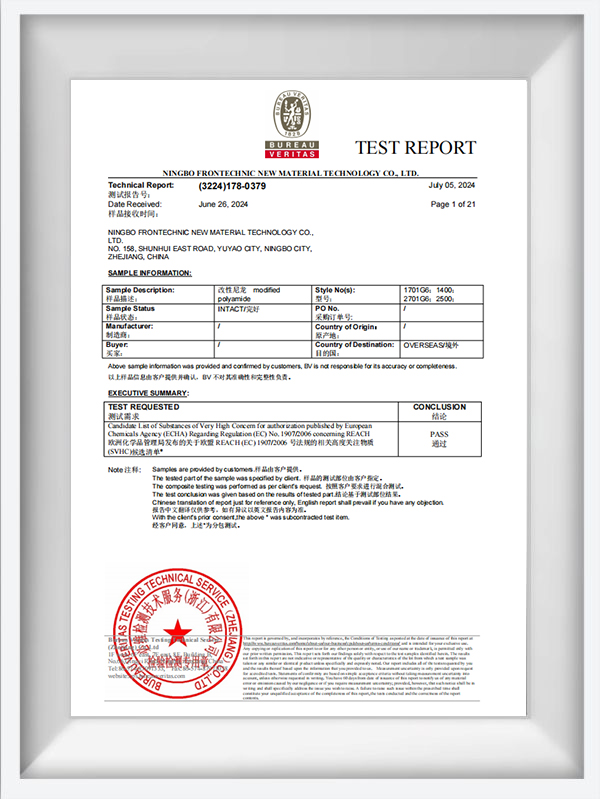 BV Test Report